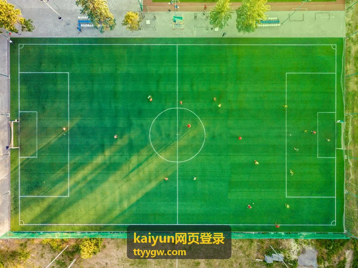 kaiyun网页登录操作流程说明示意